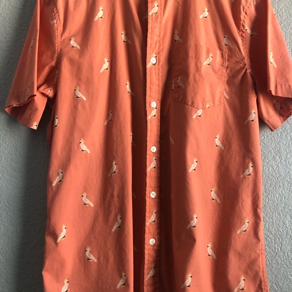 Mens, Sonoma, short-sleeved, button down shirt WITH PARROTS! - Picture 2 of 5
